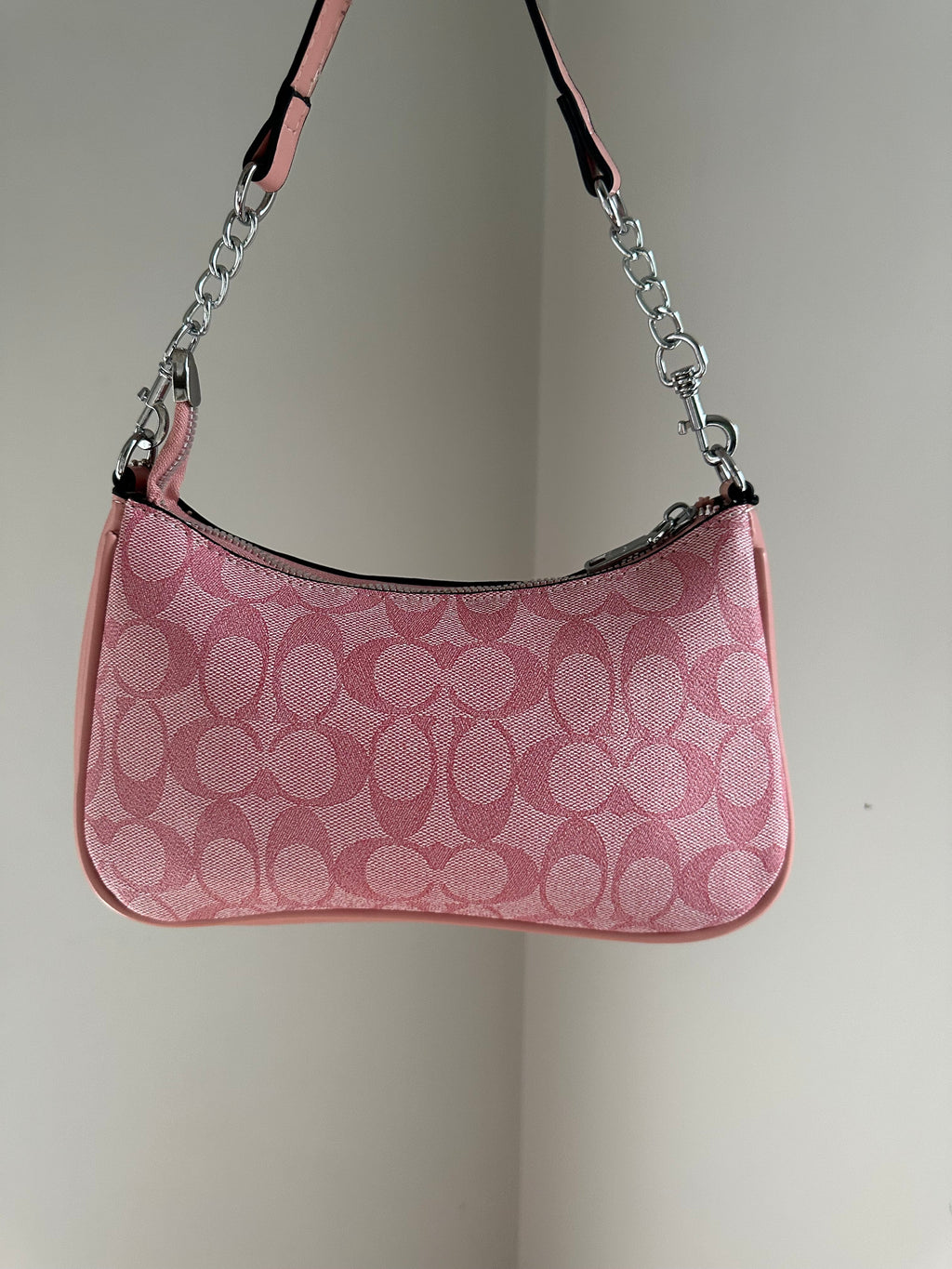 Hot Pink Silver Teri Bag