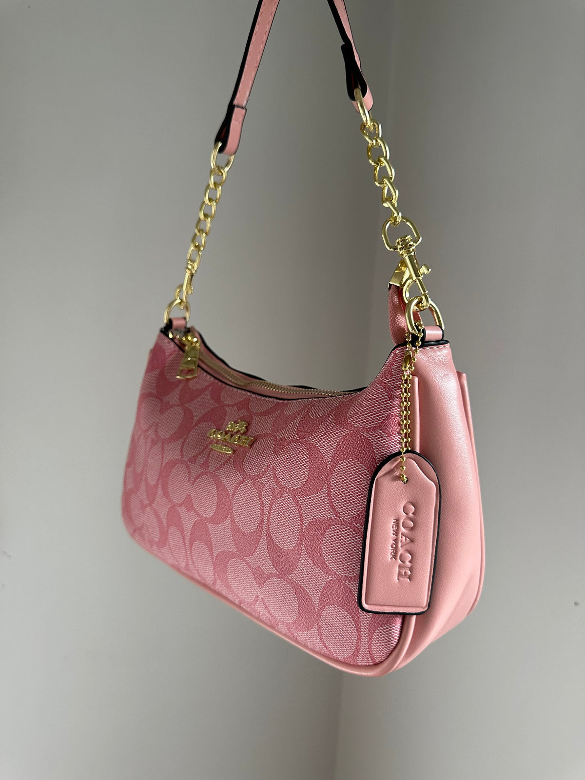 Hot Pink Gold Teri Bag