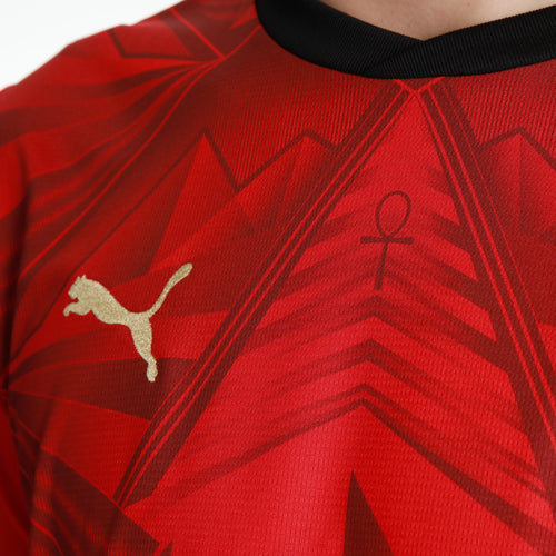 Mens Egypt Home World Cup 26 Red Stadium Jersey