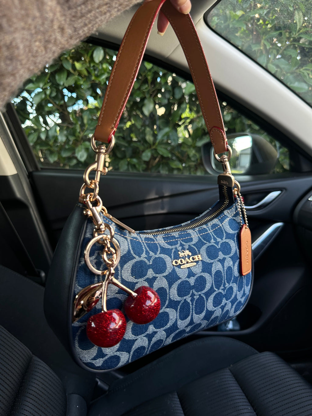 Teri Denim Shoulder Handbag