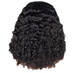 Curly Synthetic Hair Wig - VAULT DEALS