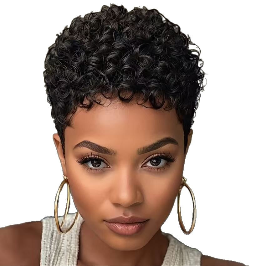 Short Curly synthetic  Hair - VAULT DEALS