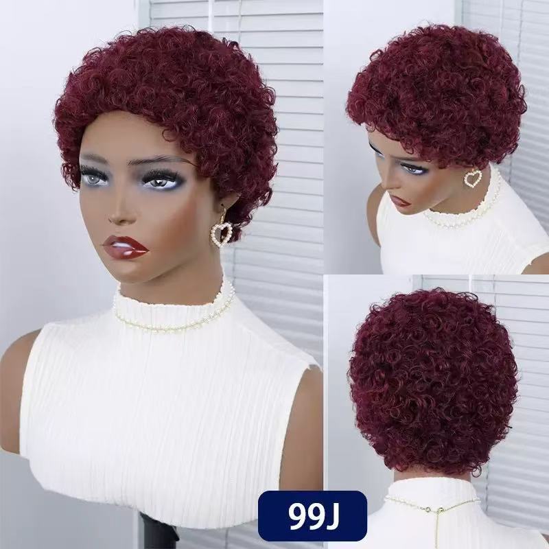 Short Curly synthetic  Hair - VAULT DEALS