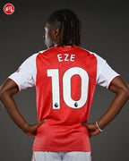 Arsenal home kit